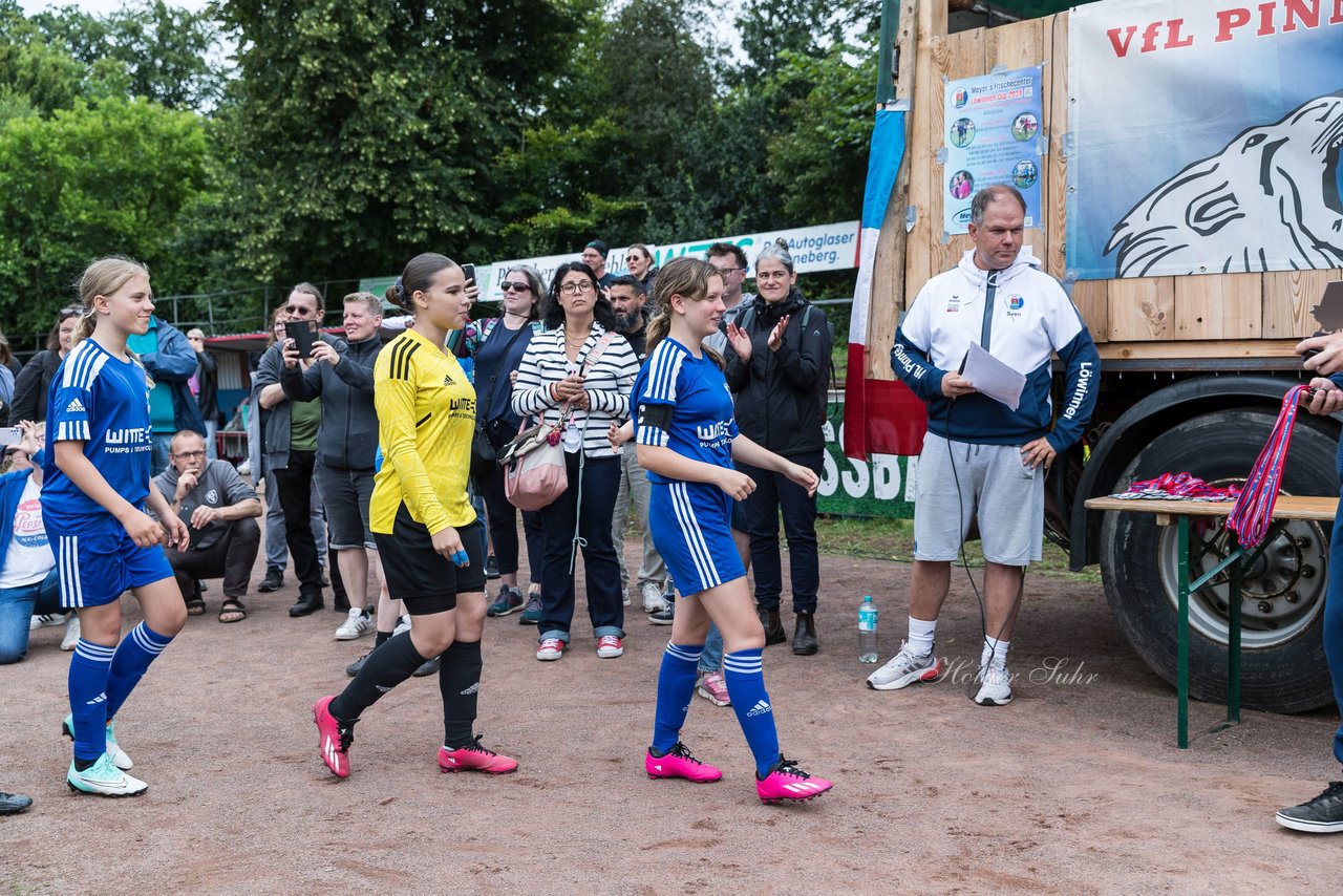 Bild 213 - Loewinnen Cup